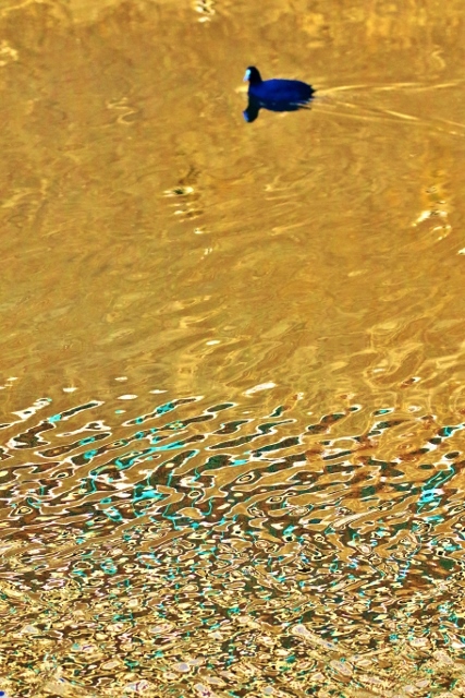 P95A4561 (427x640).jpg