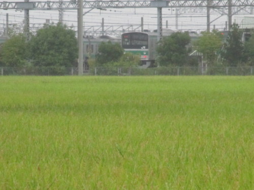 埼京線205系