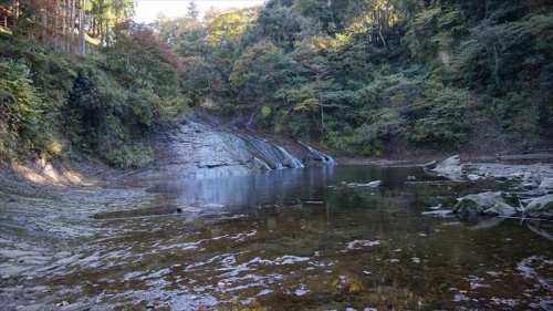 20141119 14004601.JPG