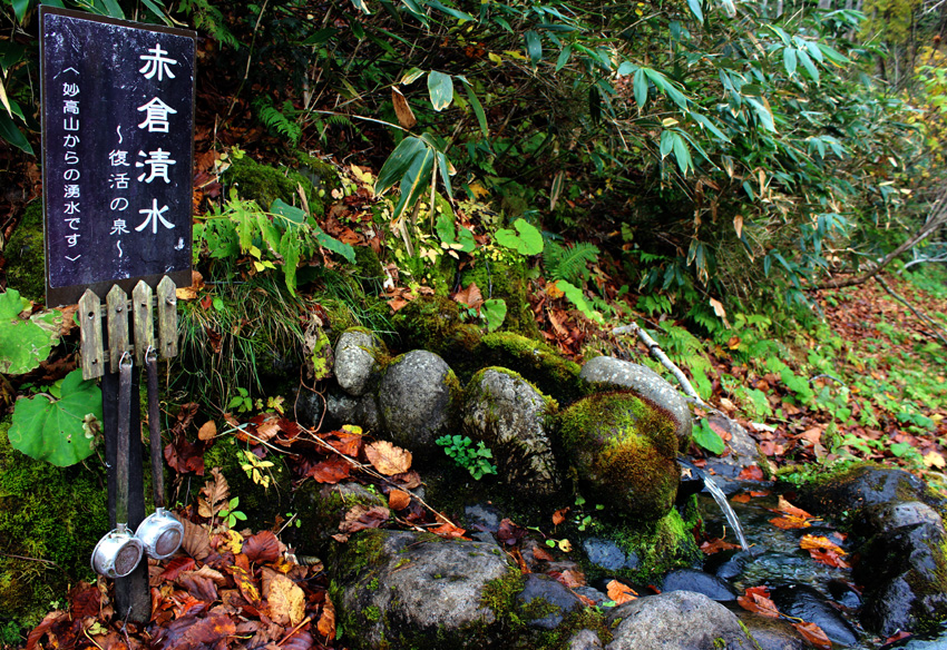 131101_13.jpg