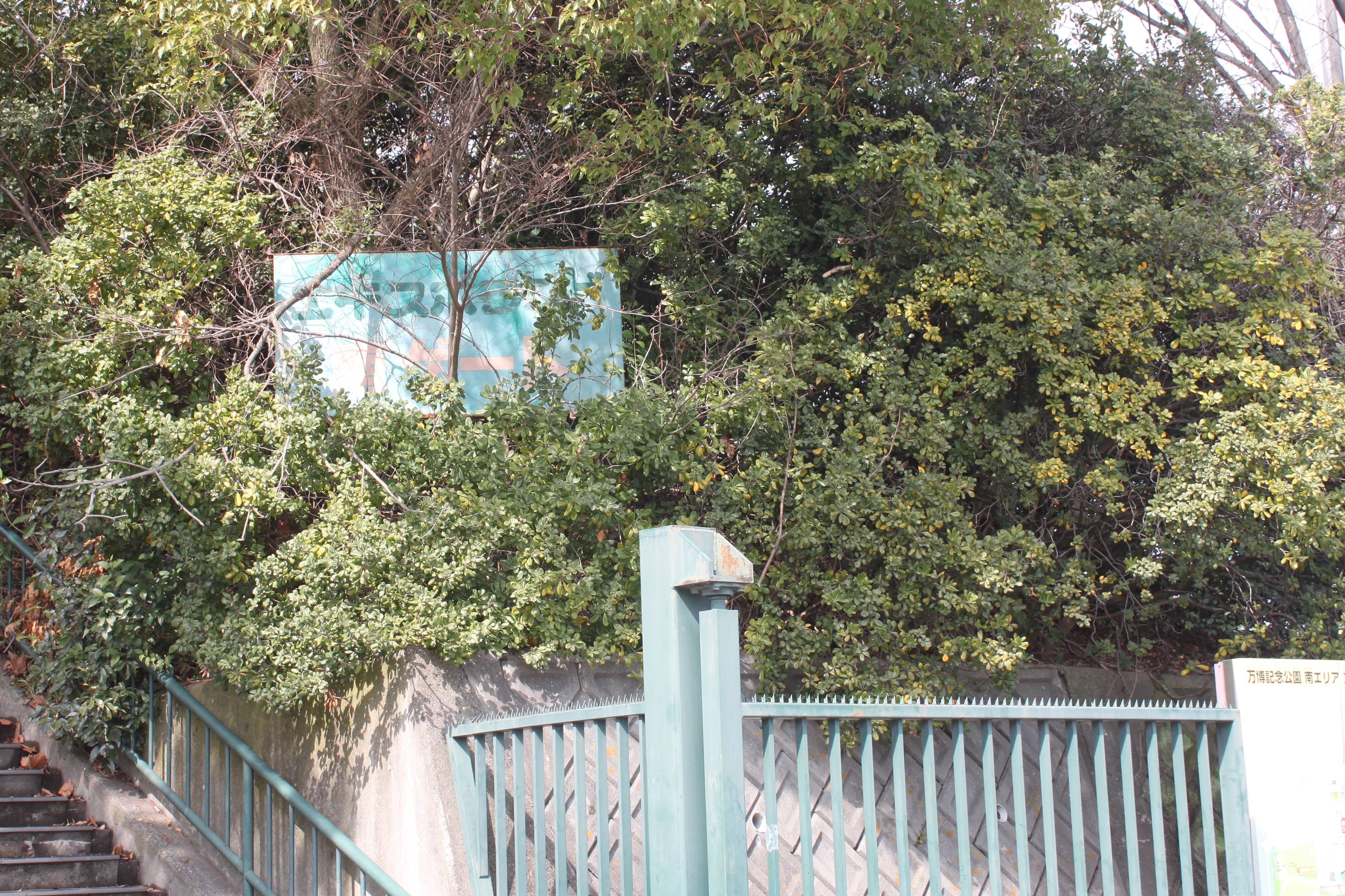 2015-3-8　万博公園　南第1駐車場.JPG