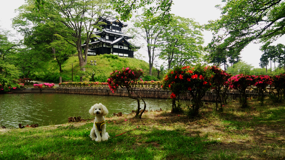 0607　高田公園.jpg