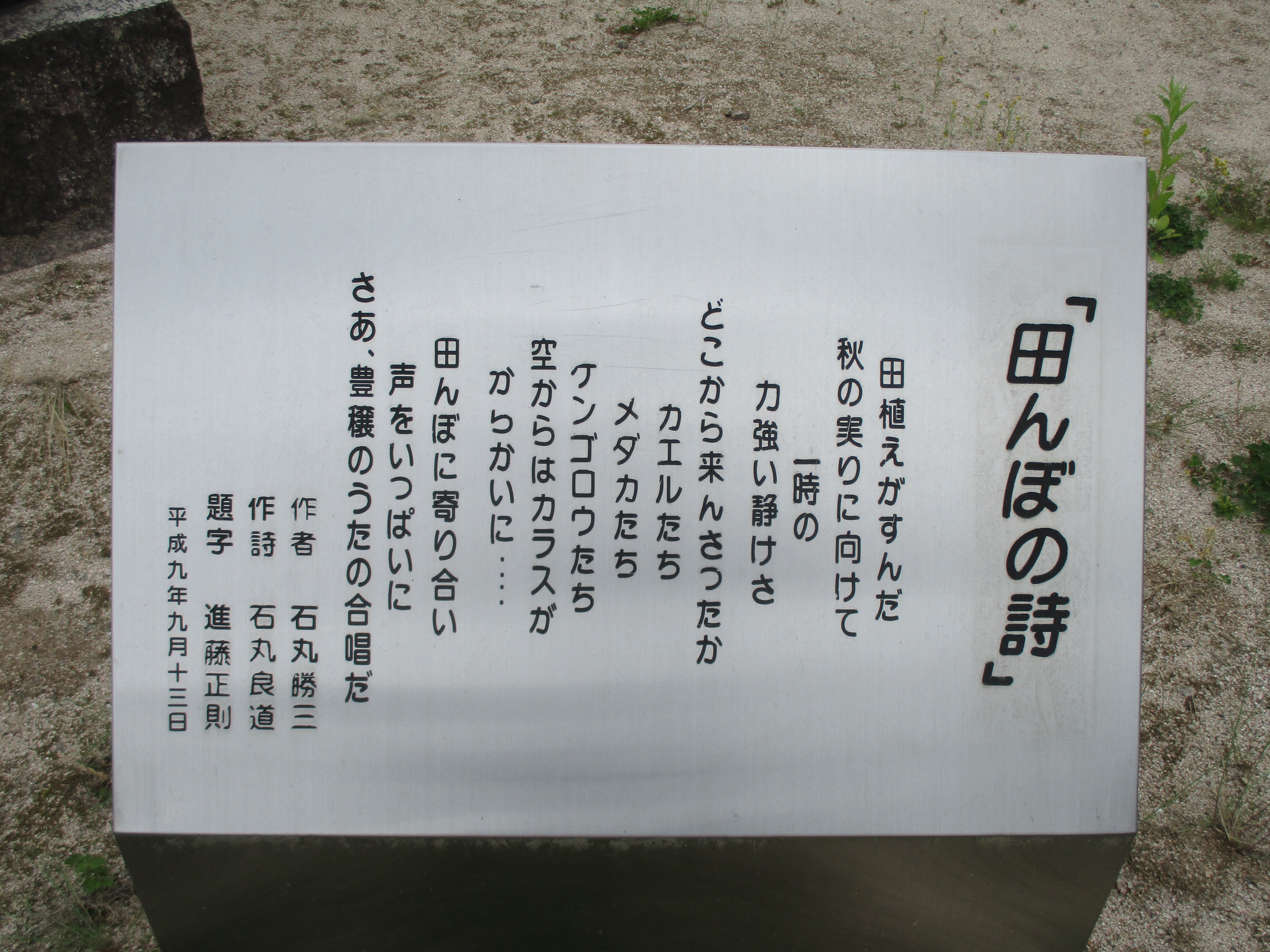 4019田んぼの詩_4019.jpg