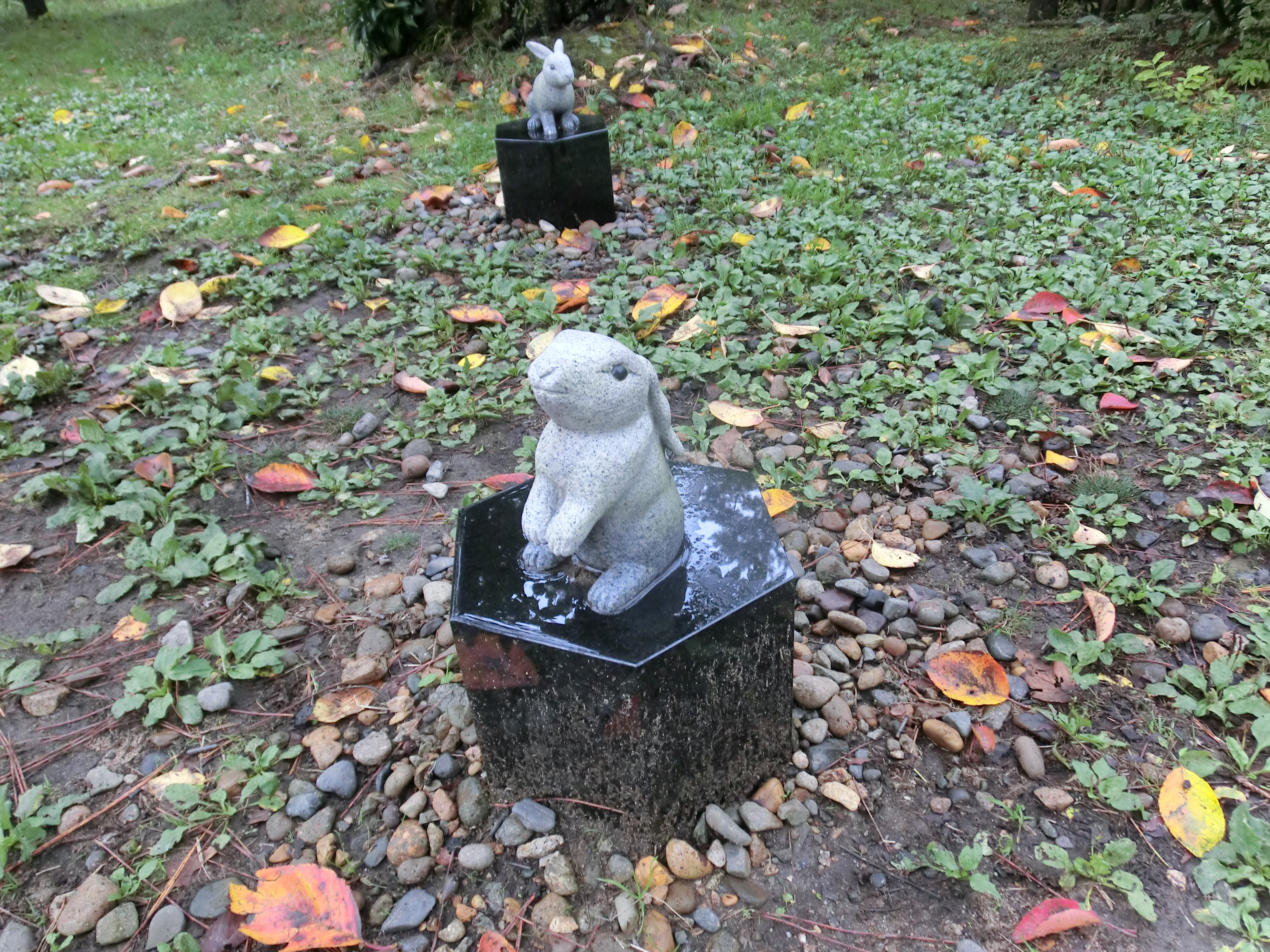 CIMG0028.JPG