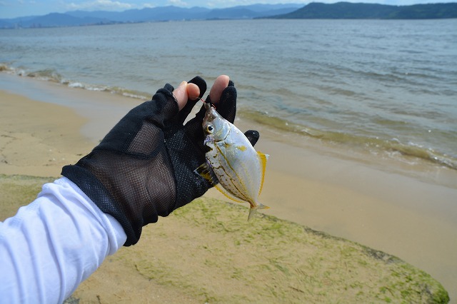 showPhoto (640×426)