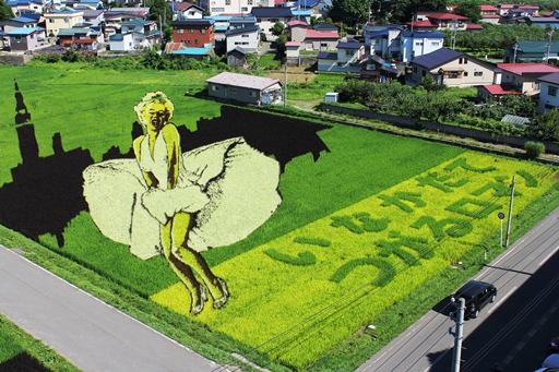 2013.8.2 田舎館村田んぼアート　その５.JPG