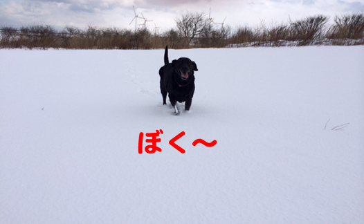 写真-2.jpg
