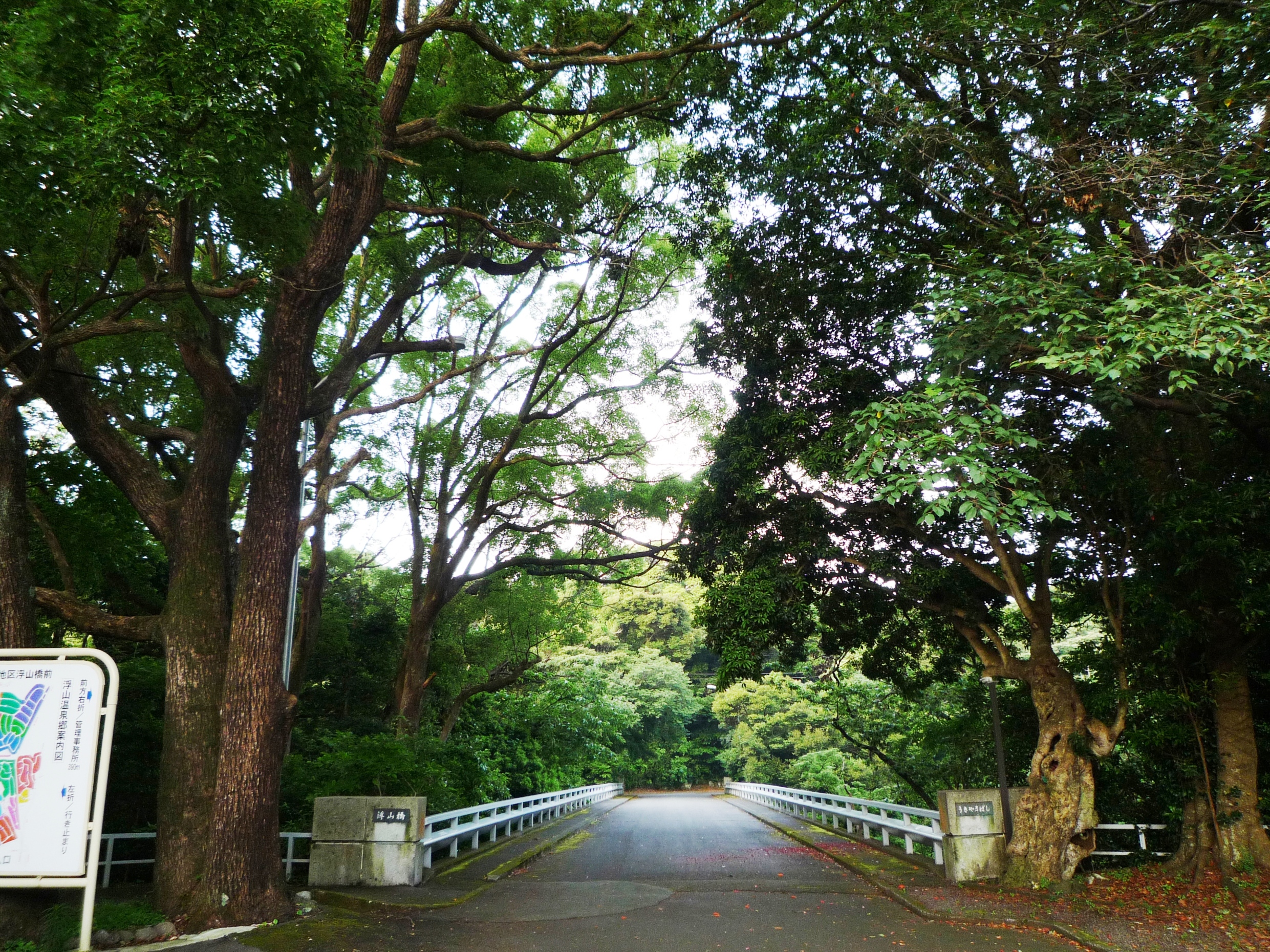 浮山橋.JPG