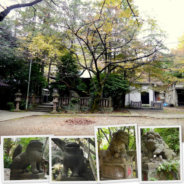 2018-11-16神谷町神社3.jpg