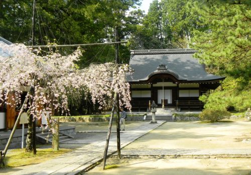 弘川寺・本堂 (4).JPG