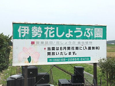 伊勢花しょうぶ園.jpg