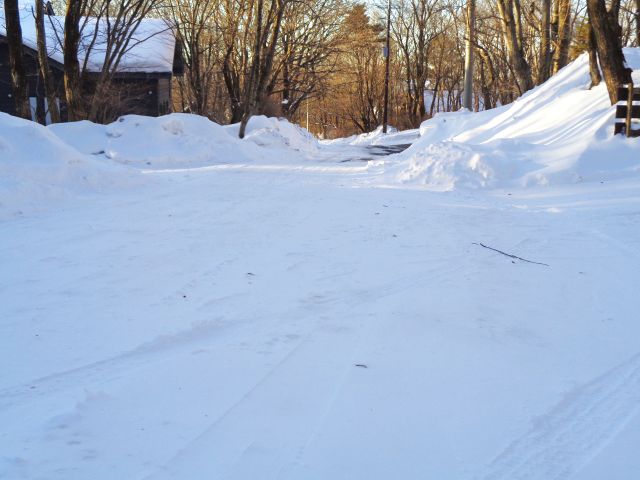 220225road.jpg