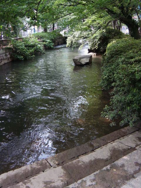 DSC09202.JPG