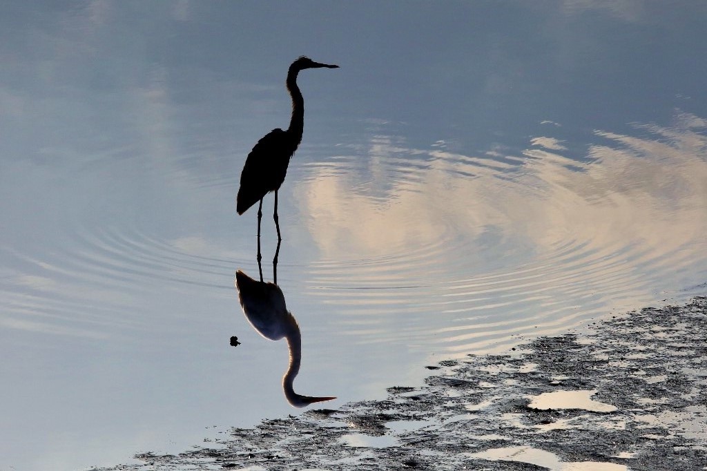 B97A7532 (1024x682).jpg