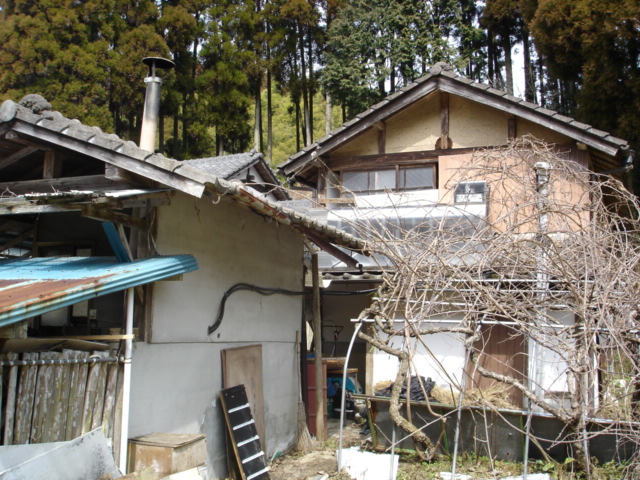 inaka00002.JPG