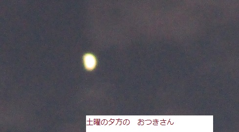 つき.JPG