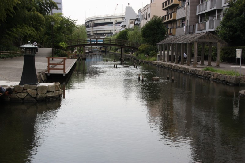 ７．木場親水公園-09D 0908q.jpg