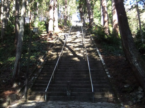 身延山久遠寺２菩提梯１
