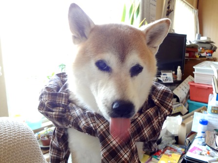 3ベー.jpg