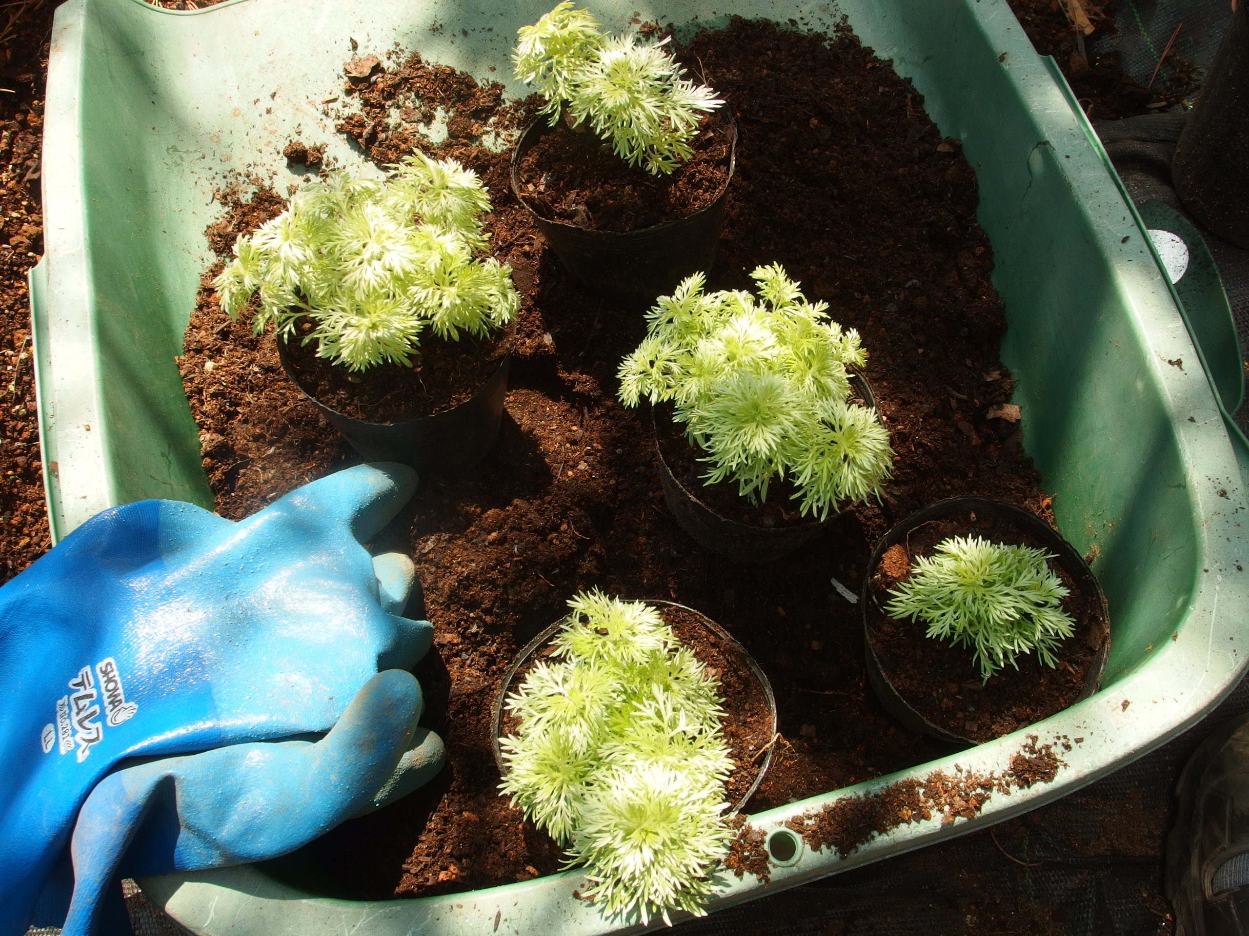 2015-06-24 09.15.16.jpg