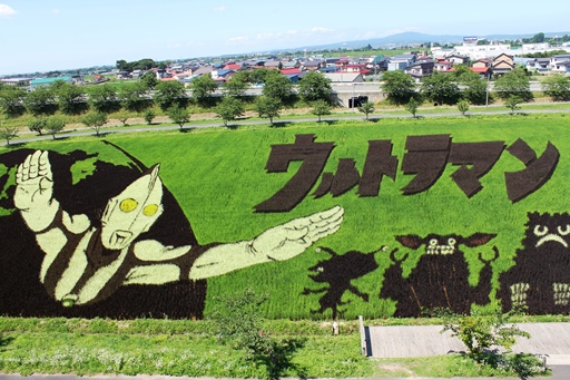 2013.8.2 田舎館村田んぼアート　その１.JPG