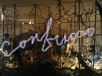 youngdo blind perspective path side.jpg