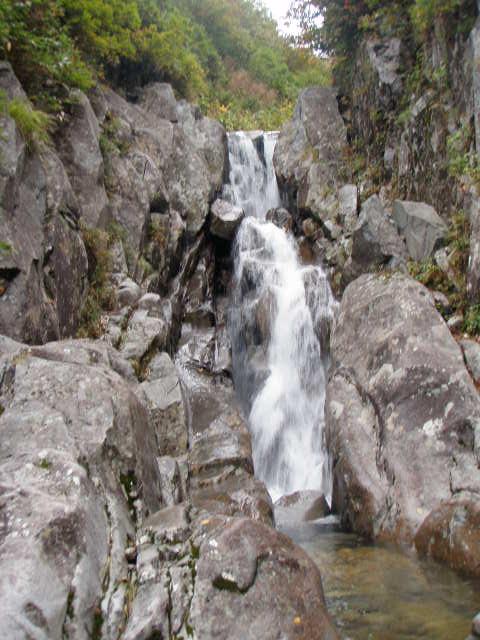 P1010.JPG