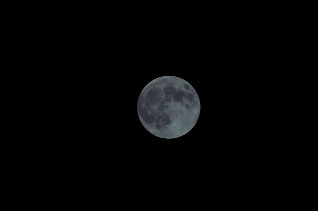 _DSC1430.JPG