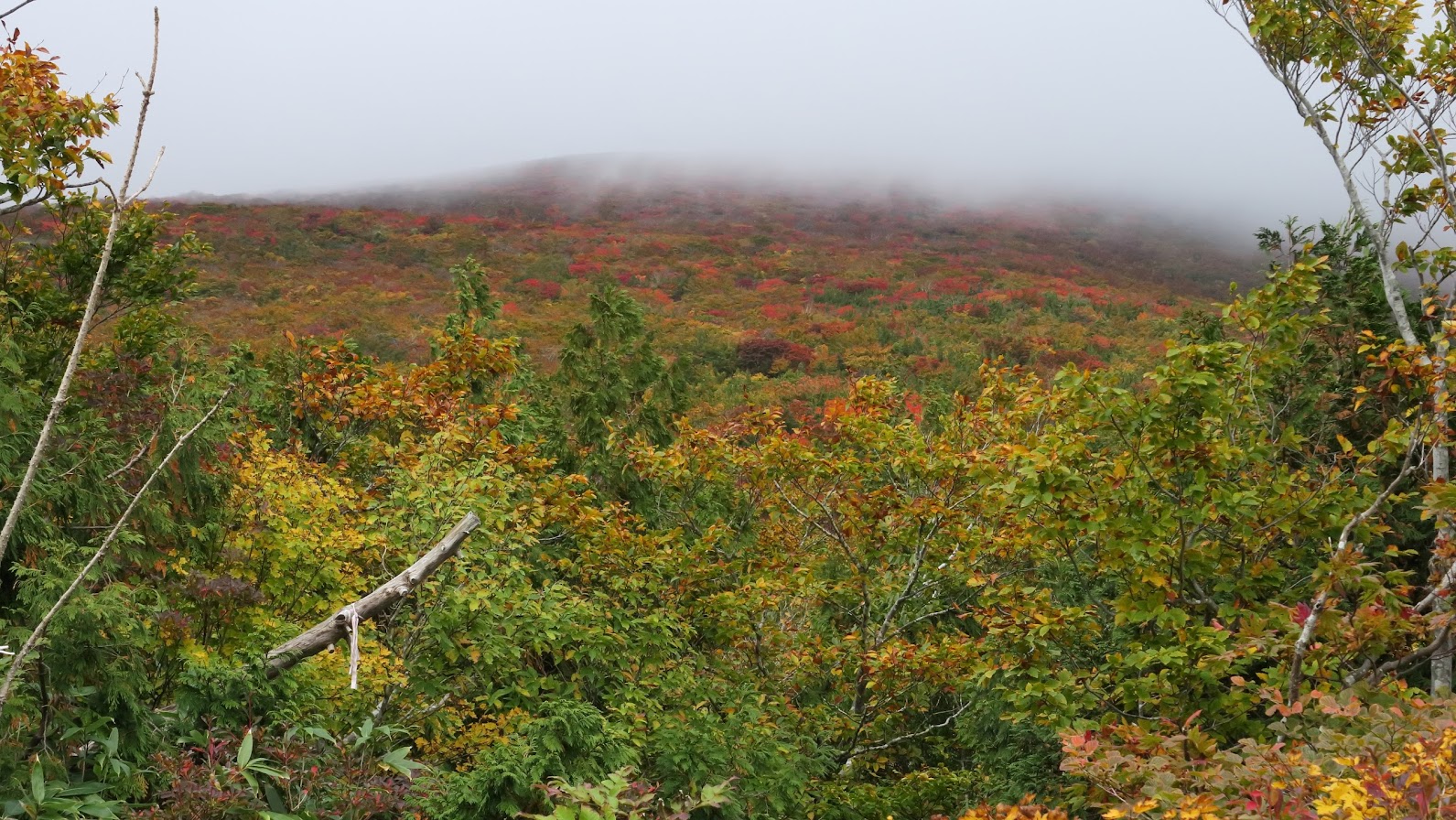 IMG_41412016栗駒山.JPG