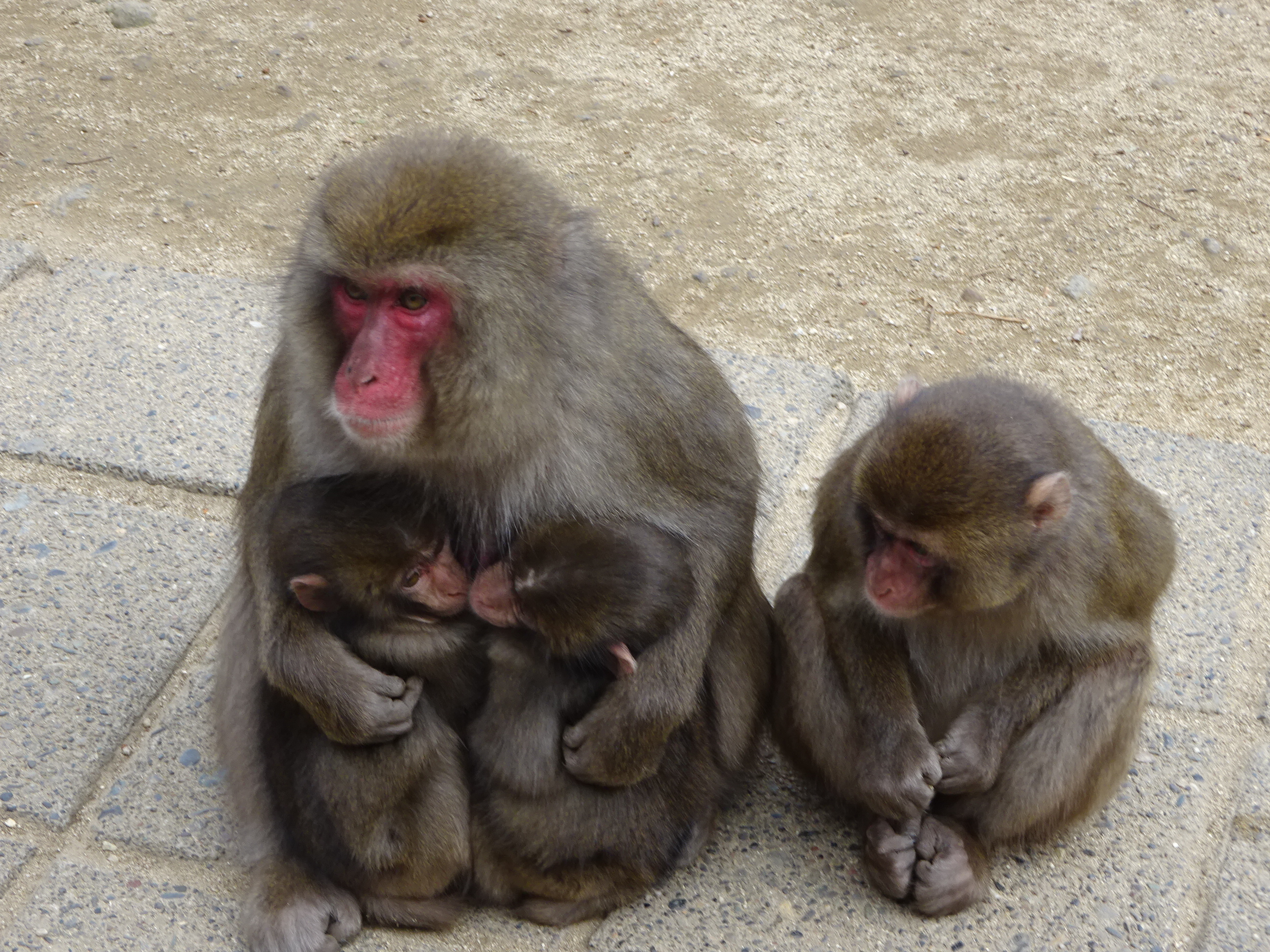 カラオケ (5).JPG