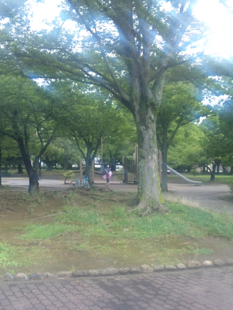 DVC00326.jpg