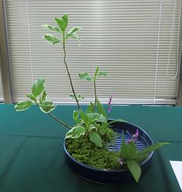 13.04.07（専） b.JPG