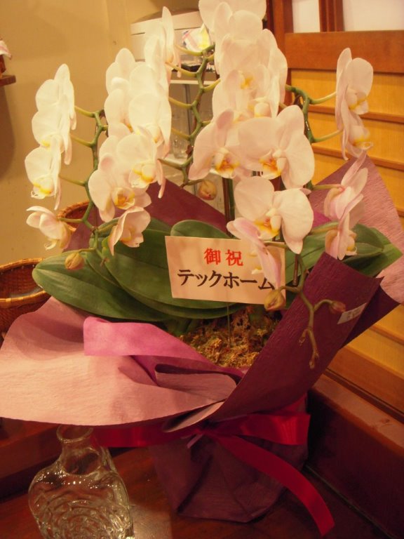 DSCN6153.jpg
