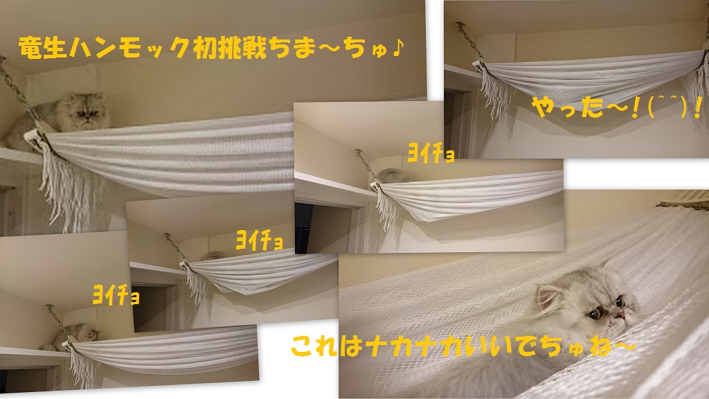 新しいフォルダー33.jpg