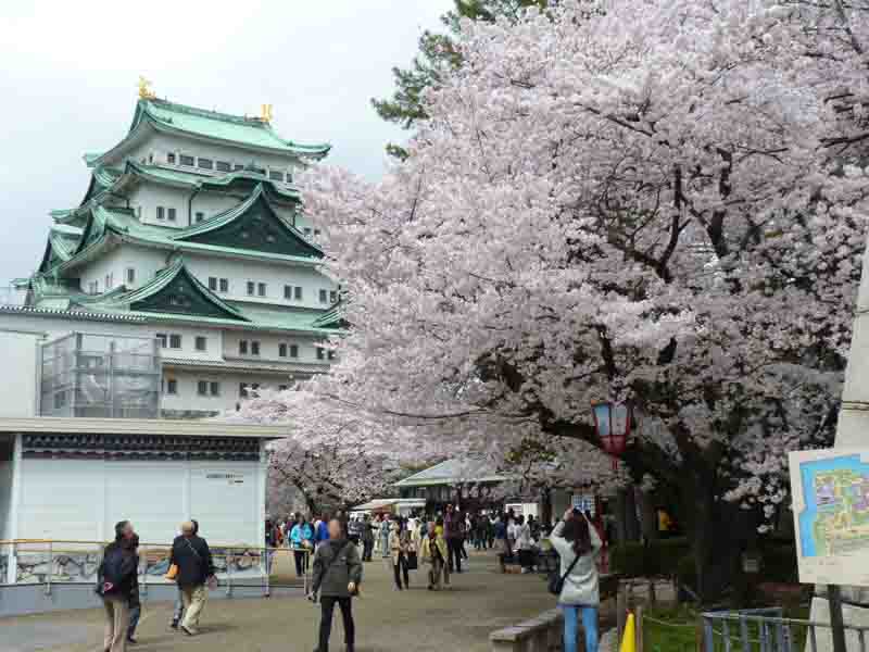nagoyajyo-w027.jpg