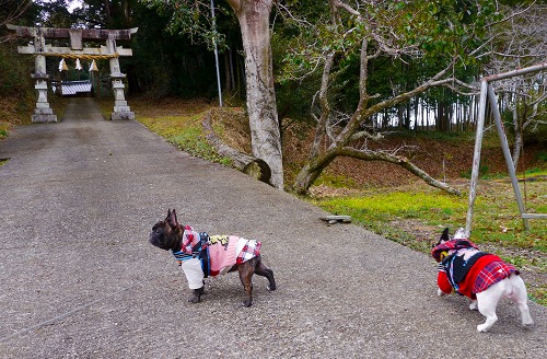 志田神社2.jpg