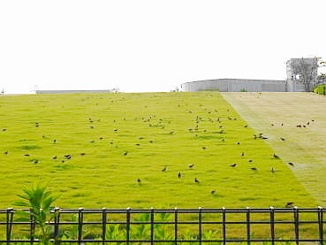 150809-47.JPG
