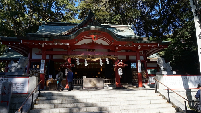 20151127 11074601.jpg