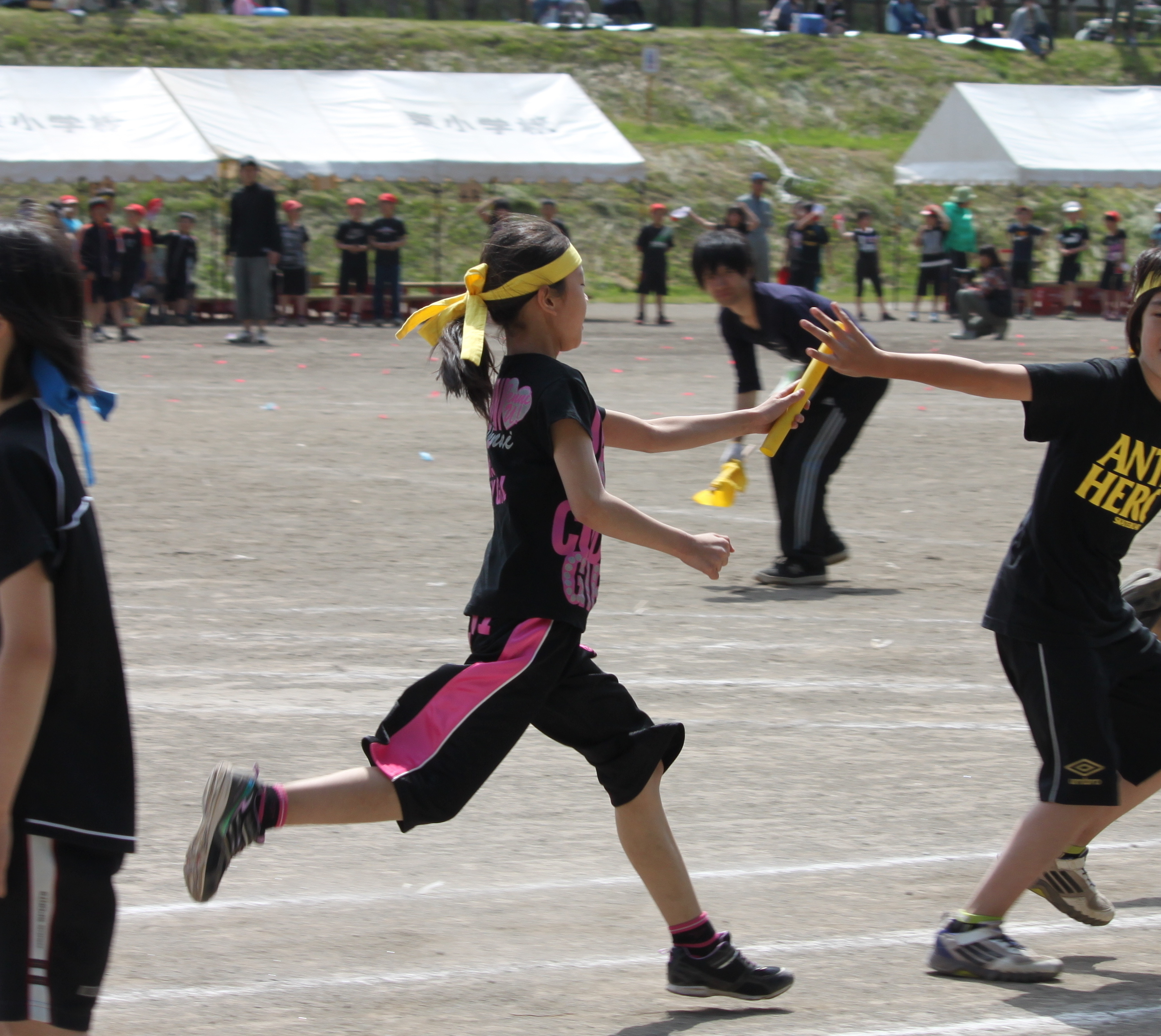 IMG_2638(V.2012_06_10__10_32_33).jpg