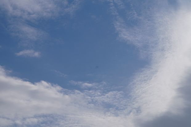 _DSC2201.JPG