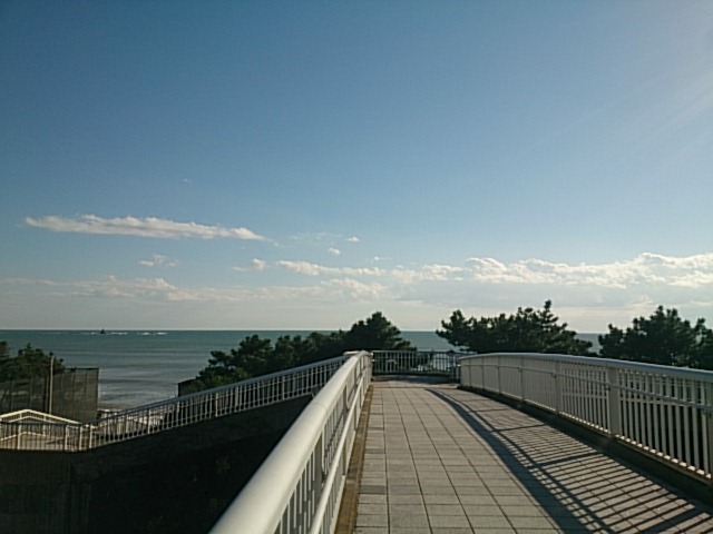 20171030  DSC_0003.jpg