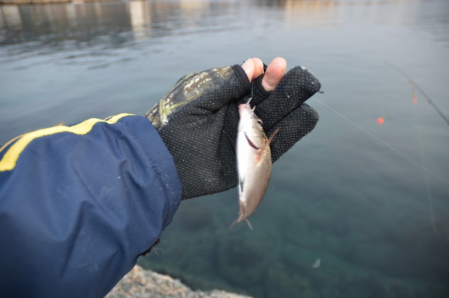 showPhoto (640×426)