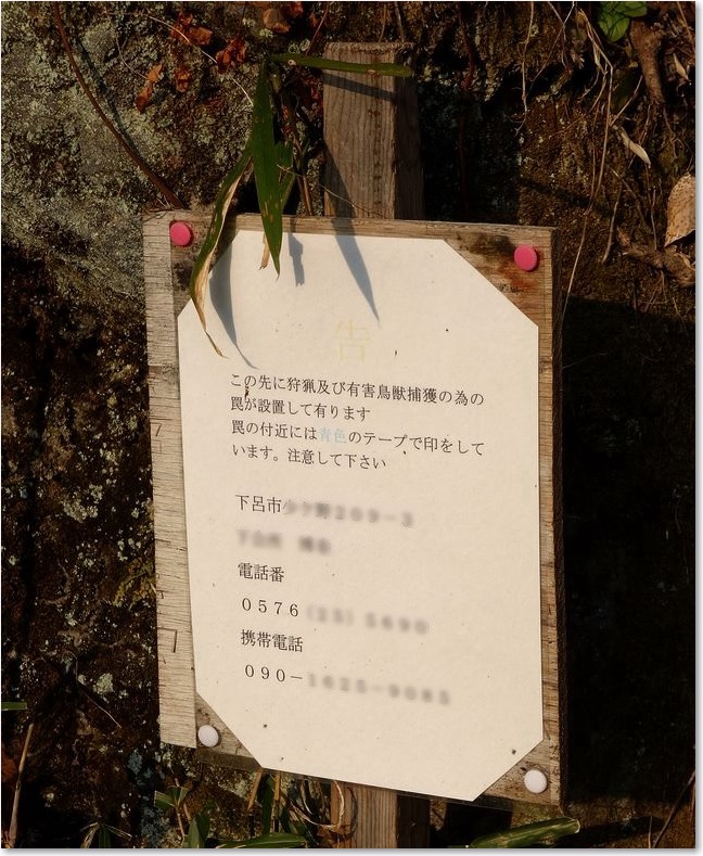 49「罠」に注意