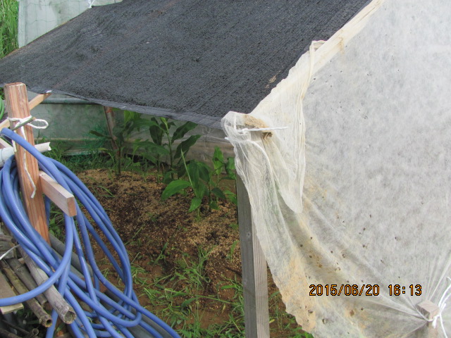 IMG_2752.JPG