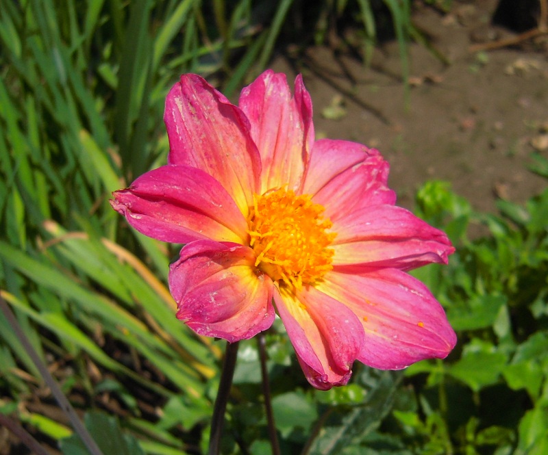 DSCN7004.JPG