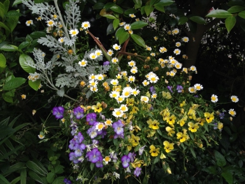 IMG_8945 (640x480).jpg