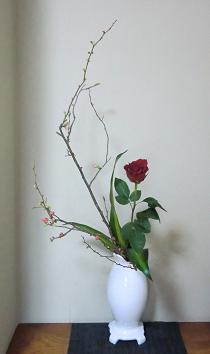 2014.01.24.JPG