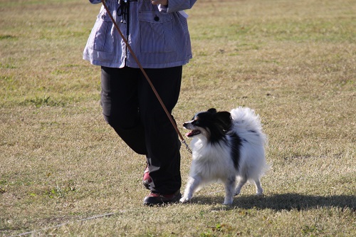 IMG_6842.JPG