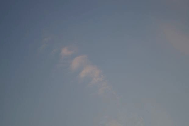 _DSC3013.JPG