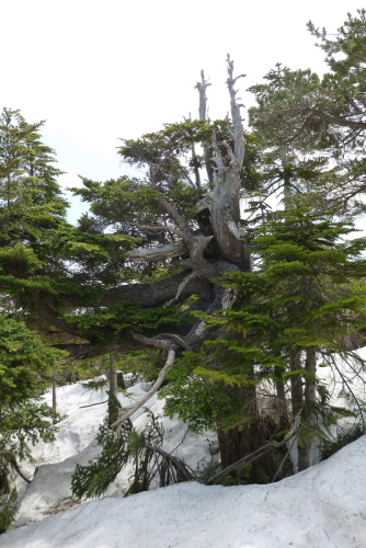 一切経山・東吾妻山2920140524.jpg